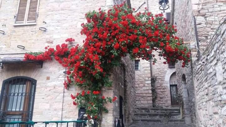 Casetta Delle Rose Assisi Buitenkant foto
