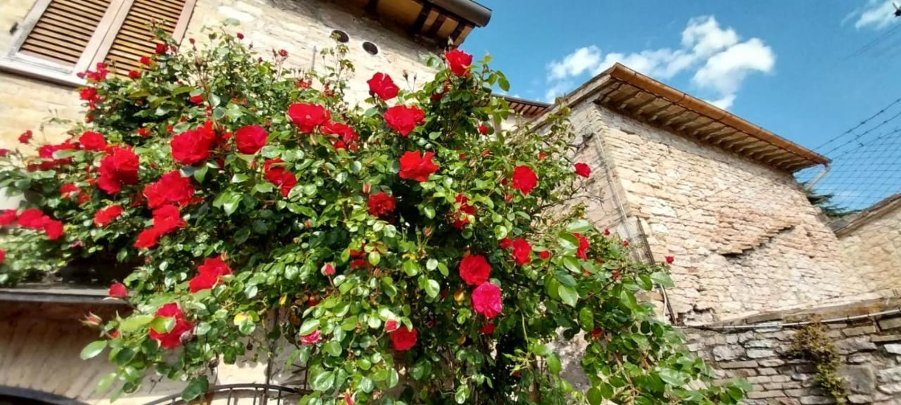 Casetta Delle Rose Assisi Buitenkant foto